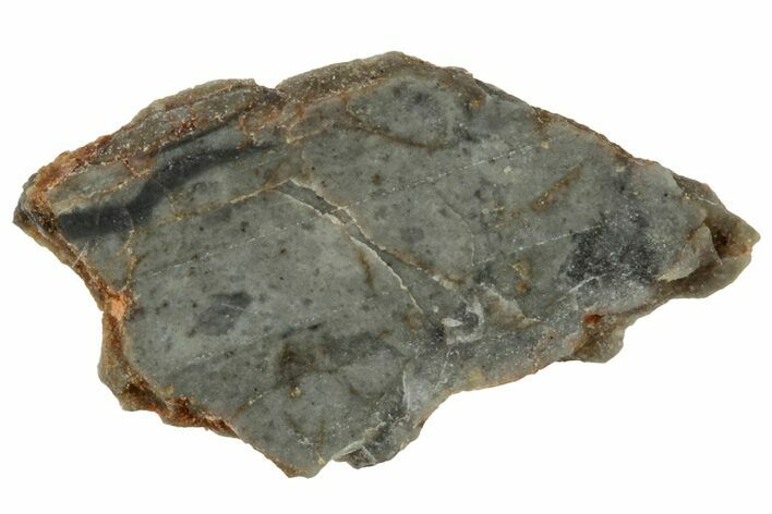 NWA Lunar Meteorite ( g) Slice #307546